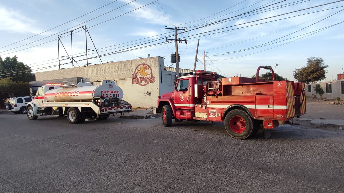 Incendio en negocio de tostadas y frijoles moviliza a los cuerpos de ...