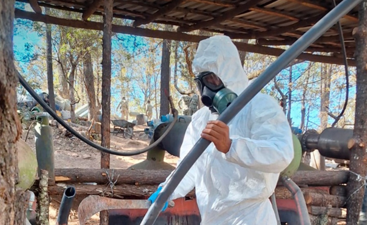 ¡Casi 400 mil metros cuadrados! ‘Revientan’ megalaboratorio clandestino en Zacatecas