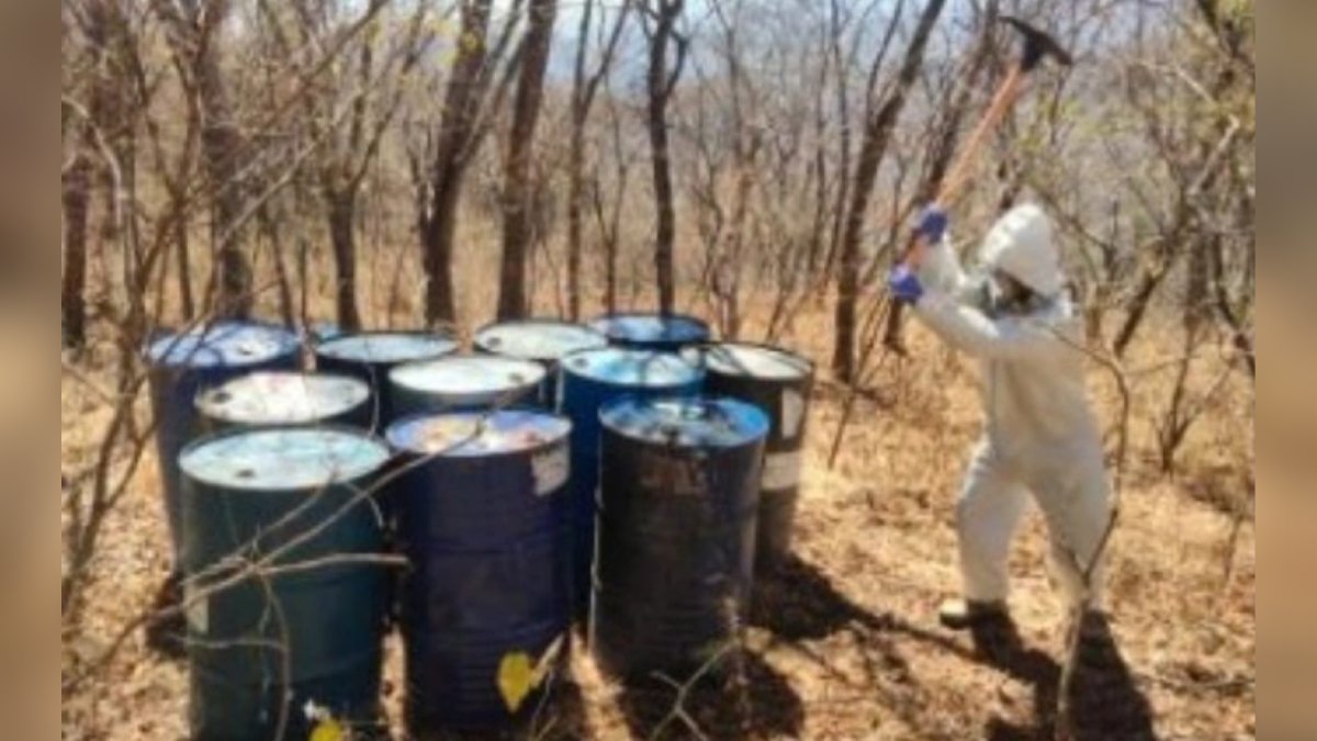 Aseguran 13 ‘narcolaboratorios’, de nuevo en Culiacán y Cosalá