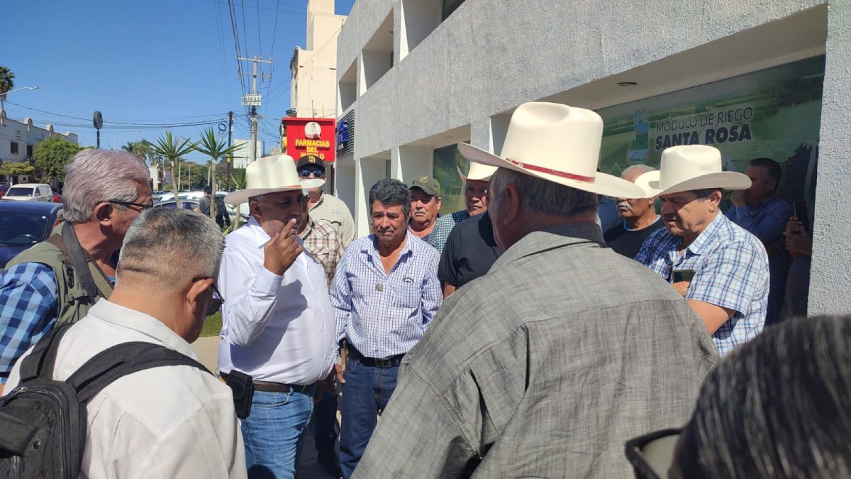 ¡Sin agua! Desesperados productores del ejido Las Vacas porque sus cultivos ocupan del riego