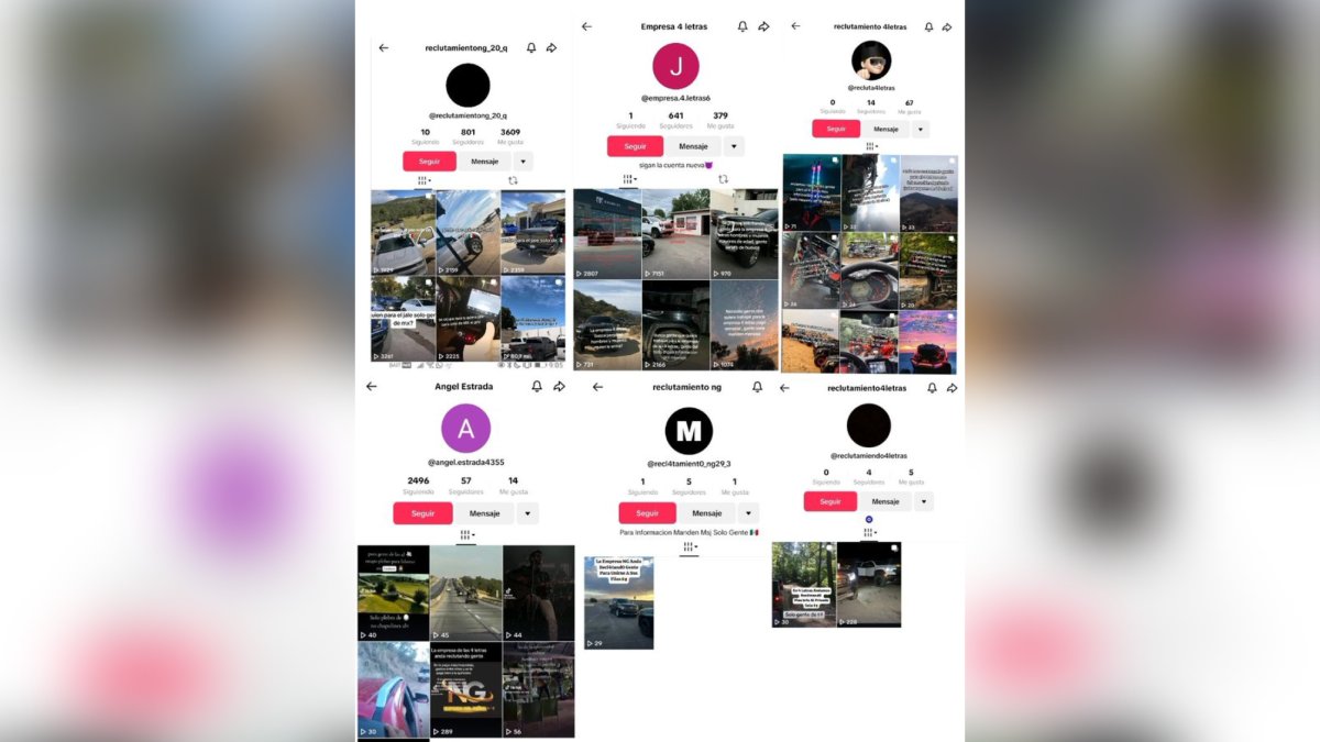 Redes sociales bajo vigilancia: clausuran 39 cuentas ligadas al crimen organizado