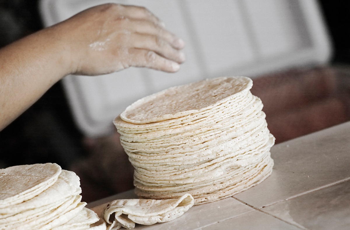 ‘Cosechando Soberanía’: Gobierno de Sheinbaum trabaja para baja el precio de la tortilla