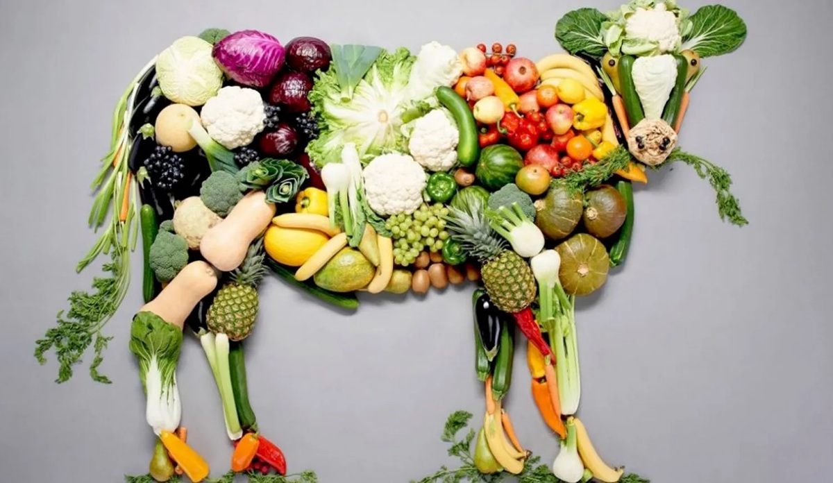 ¿Y si me hago vegetariano o vegano? En el Día Mundial Sin Carne conoce las diferencias, beneficios y desventajas