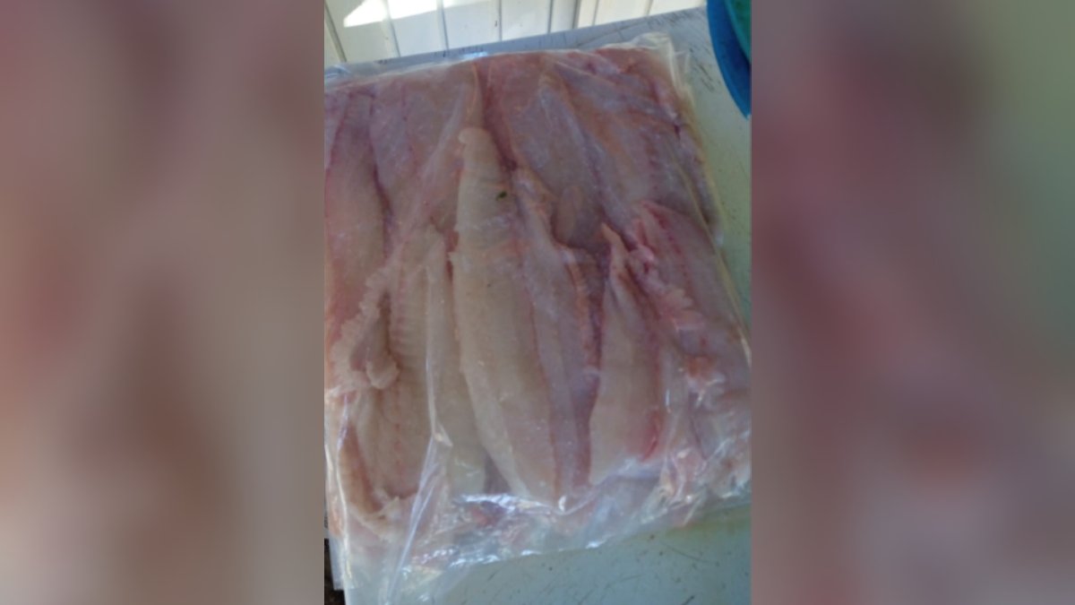 ¡La Cuaresma hace efecto! Pescadores de La Boca del Río, Guasave, perciben repunte; hay poco producto