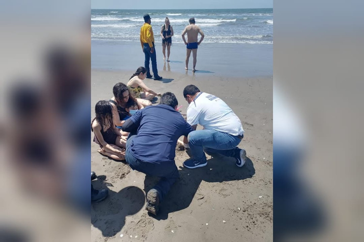 ¿Vas a visitar la playa en Guasave? Alerta PC por presencia de mantarrayas