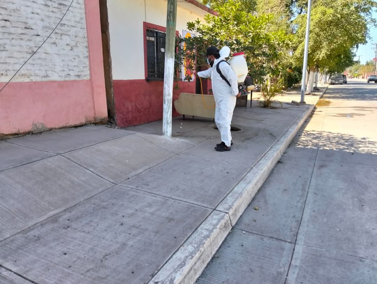 Fumigan casa infestada de garrapatas en la 2 de Octubre, en Guasave