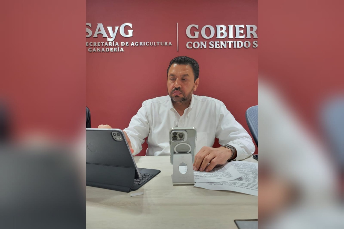 Sinaloa define estrategias con especialistas sobre el gusano barrenador; participa en foro webinar internacional