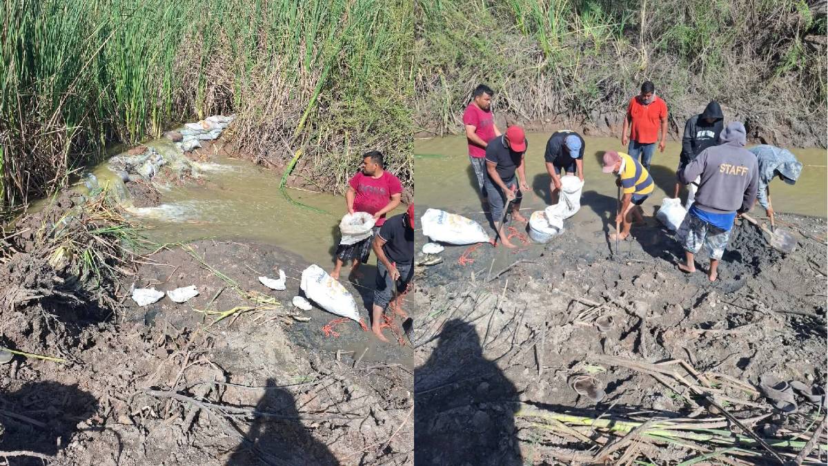 ¡Pleito por el agua! Vacían laguna de Chamicari en Guasave para riego agrícola