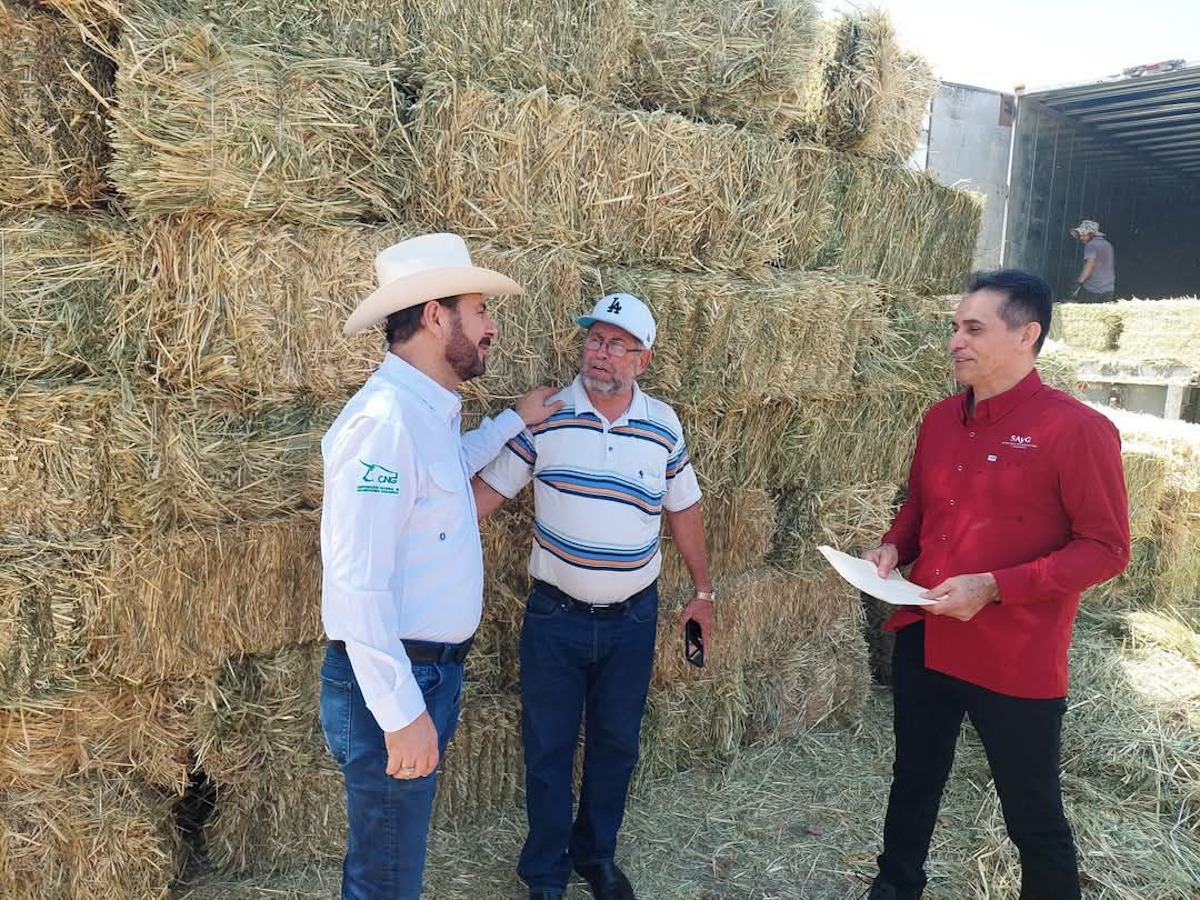 ¡Atención ganaderos! Abre UGRS convocatoria para entrega de forraje gratuito en apoyo por sequía