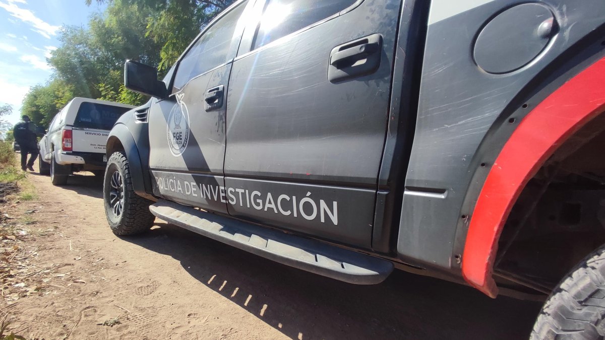 Adulto mayor pierde la vida tras ataque de abejas en la comunidad de Loretillo, Choix
