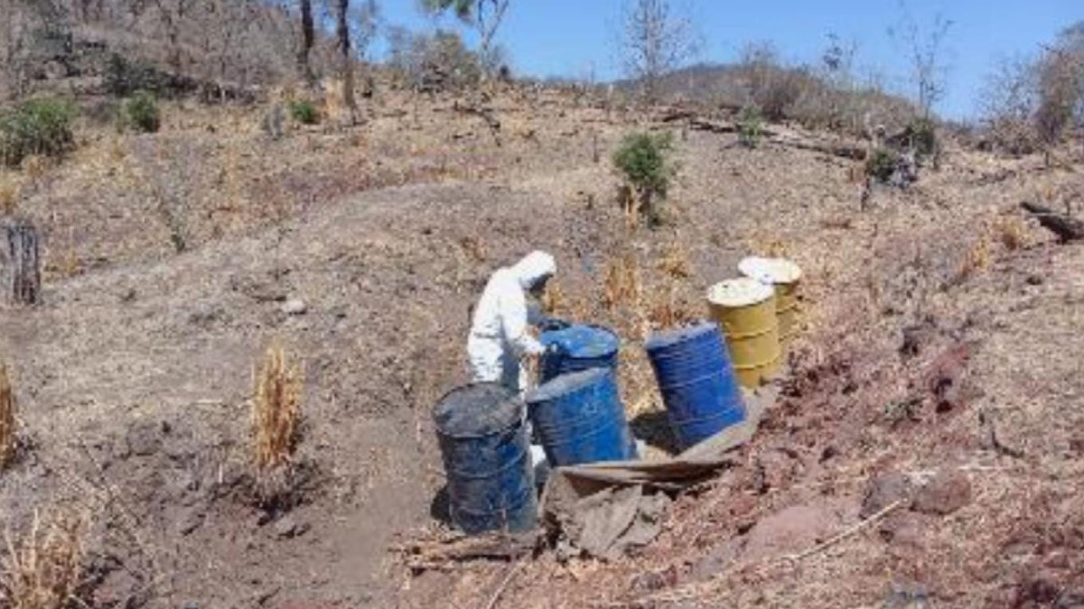 ¡Fueron 19! Aseguran y destruyen laboratorios clandestinos en Culiacán, Navolato y Cosalá