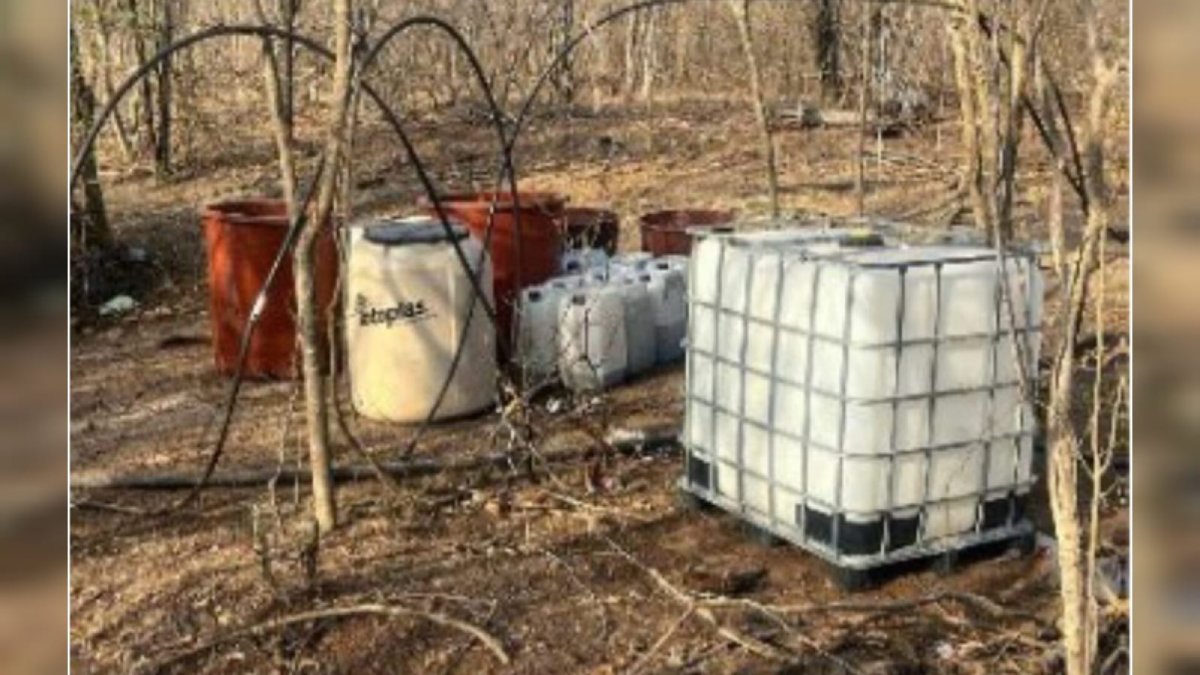 Siguen los aseguramientos de narcolaboratorios; autoridades destruyen 17 en Culiacán y Cosalá