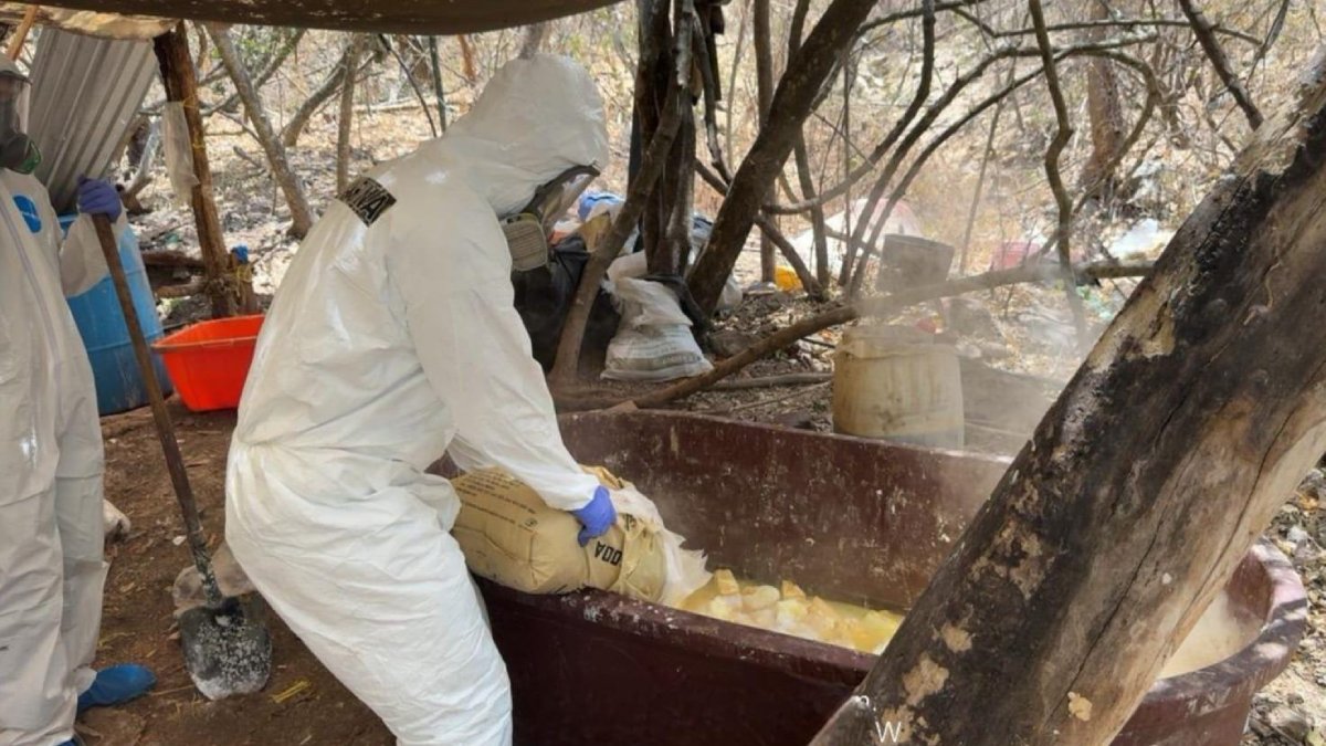 ¡Había más de 250 kilos de metanfetaminas! Aseguran en Cosalá importante laboratorio clandestino