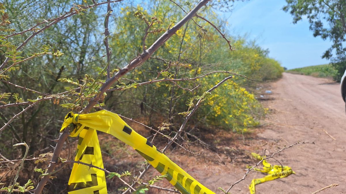 Con impactos de arma de fuego y huellas de tortura, hallan a hombre asesinado en Navolato