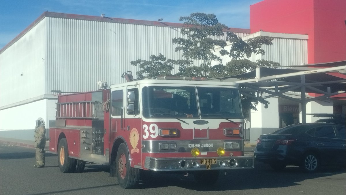 Ataque de abejas a las afueras de un supermercado de Los Mochis deja a varias personas lesionadas