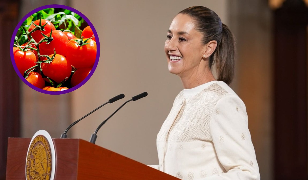 Compara Sheinbaum el tomate de Sinaloa con el de Florida, ante sanción anunciada por EU