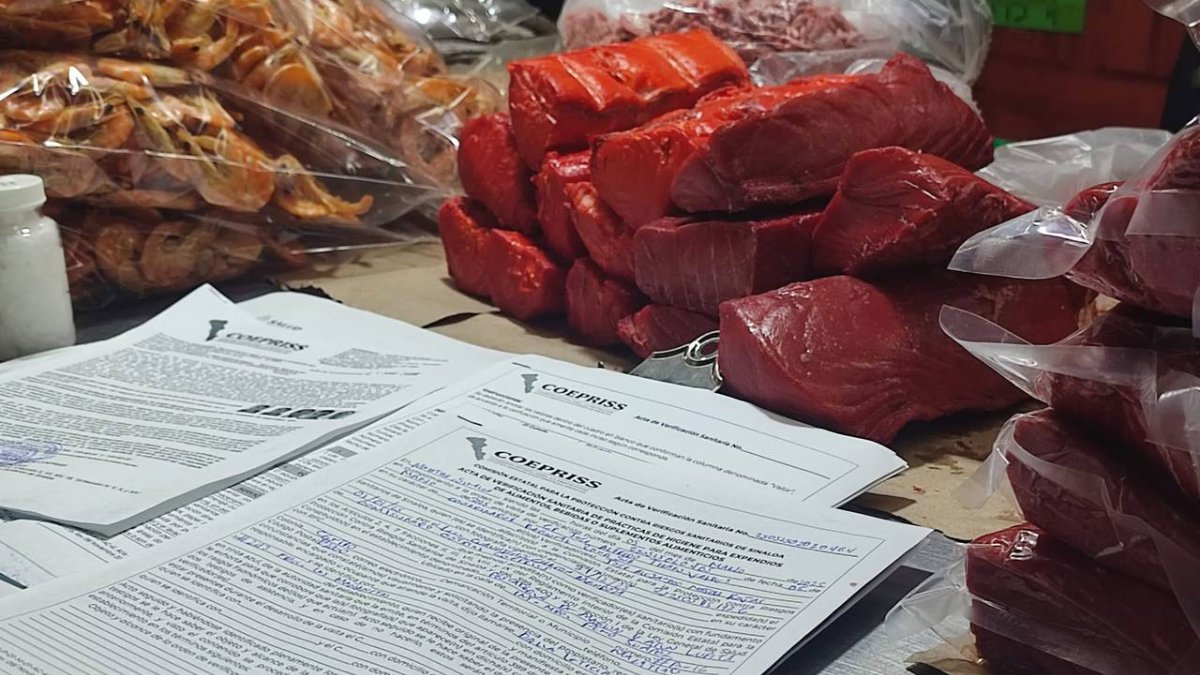 Es seguro comer mariscos en Guasave, informa Coepriss