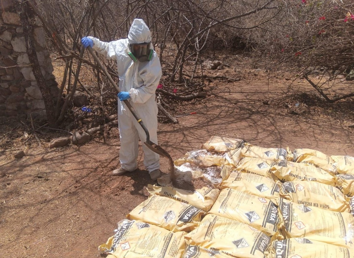 Grupo Interinstitucional aseguran y desmantelan área para la elaboración de drogas en Bacayopa, Choix