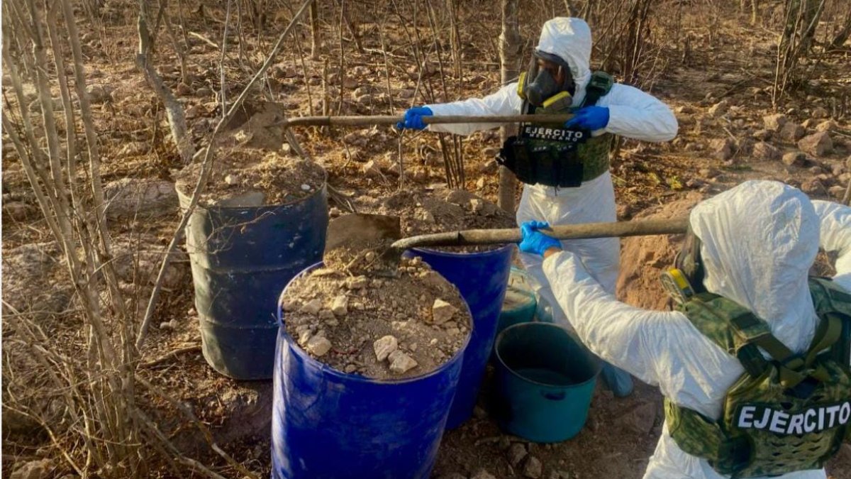 Fuerzas castrenses desmantelan un laboratorio clandestino en Elota