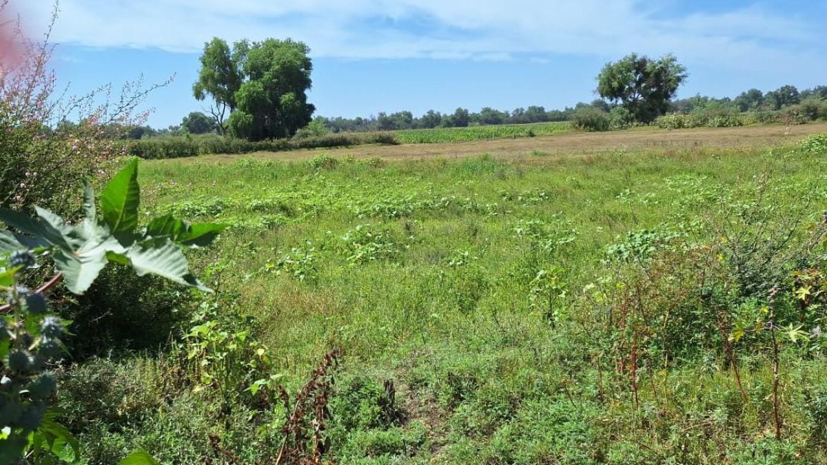 “Es importante el equilibrio”, llama Ecología de Guasave a respetar lagunas y humedales