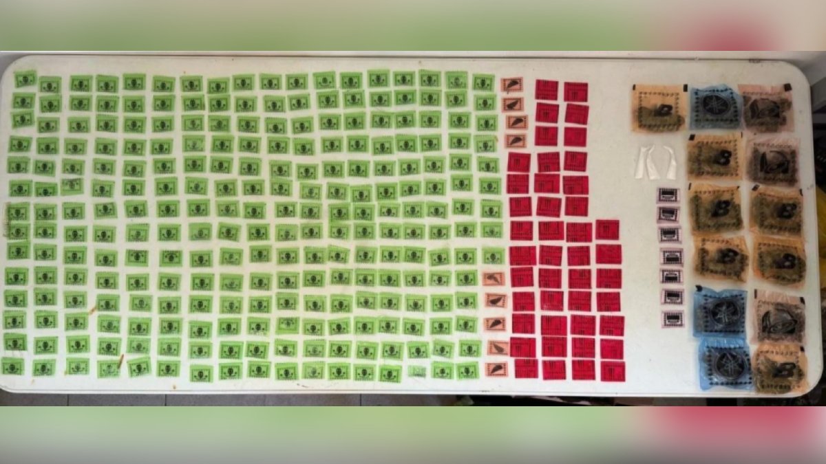 Ejército Mexicano asegura droga en Villa Unión durante operativo