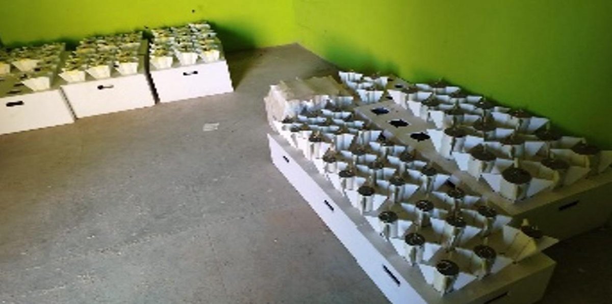 Militares localizan casi tres mil artefactos explosivos en Concordia