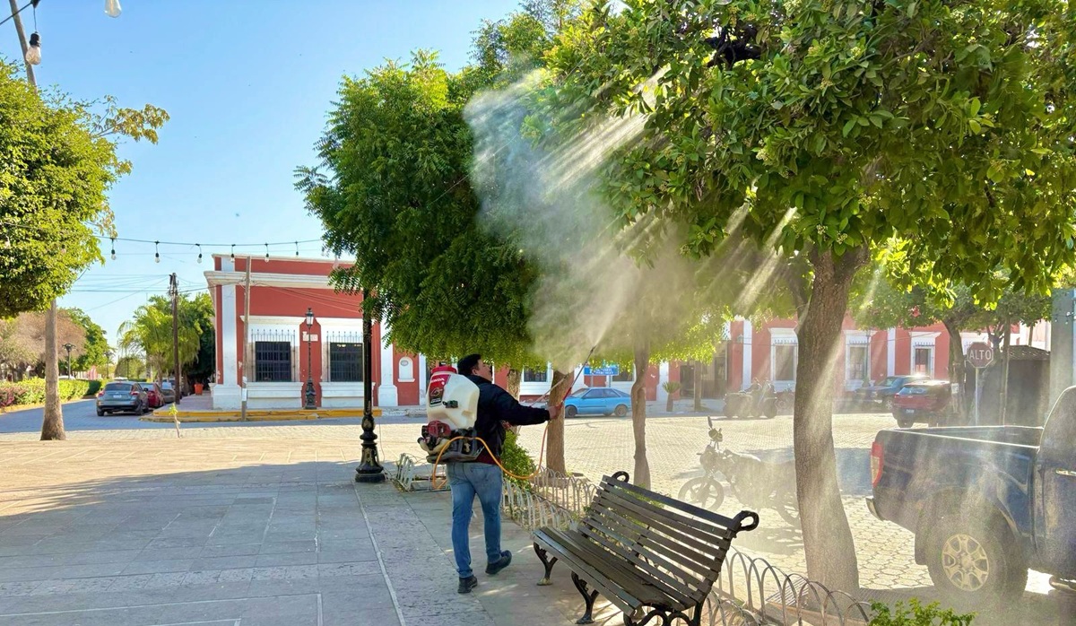 Fumigan contra mosquitos y jejenes en El Fuerte, previo a Semana Santa