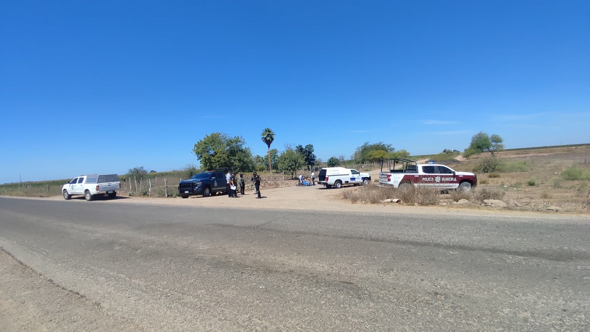 Atado de manos y con un impacto de bala en la cabeza, hallan a un hombre sin vida en el ejido Plan de San Luis, en Ahome