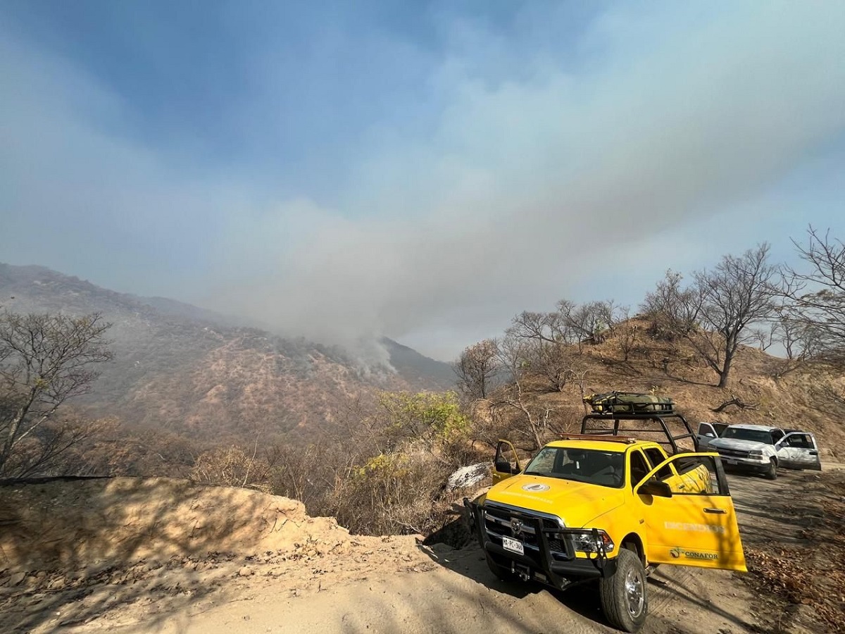 Más de 3 mil hectáreas han sido afectadas por los incendios en la sierra de Choix