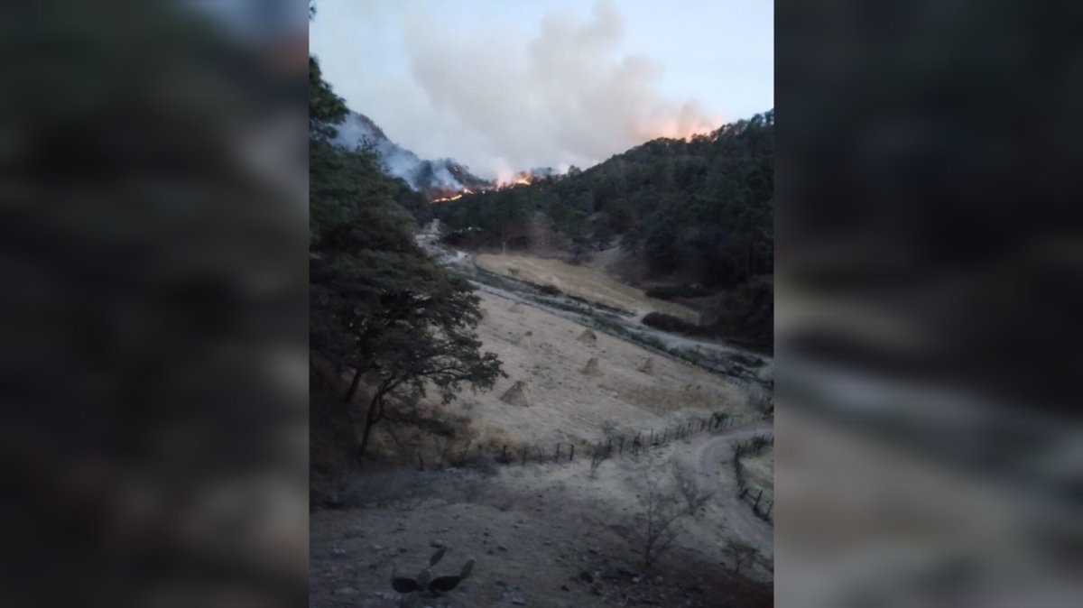 Enfrentamientos en la sierra de Choix provocó incendio forestal