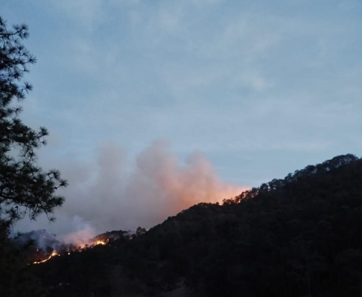 Por la inseguridad en la zona serrana de Choix, no podíamos llegar al siniestro; Aurelio, coordinador de incendios forestales