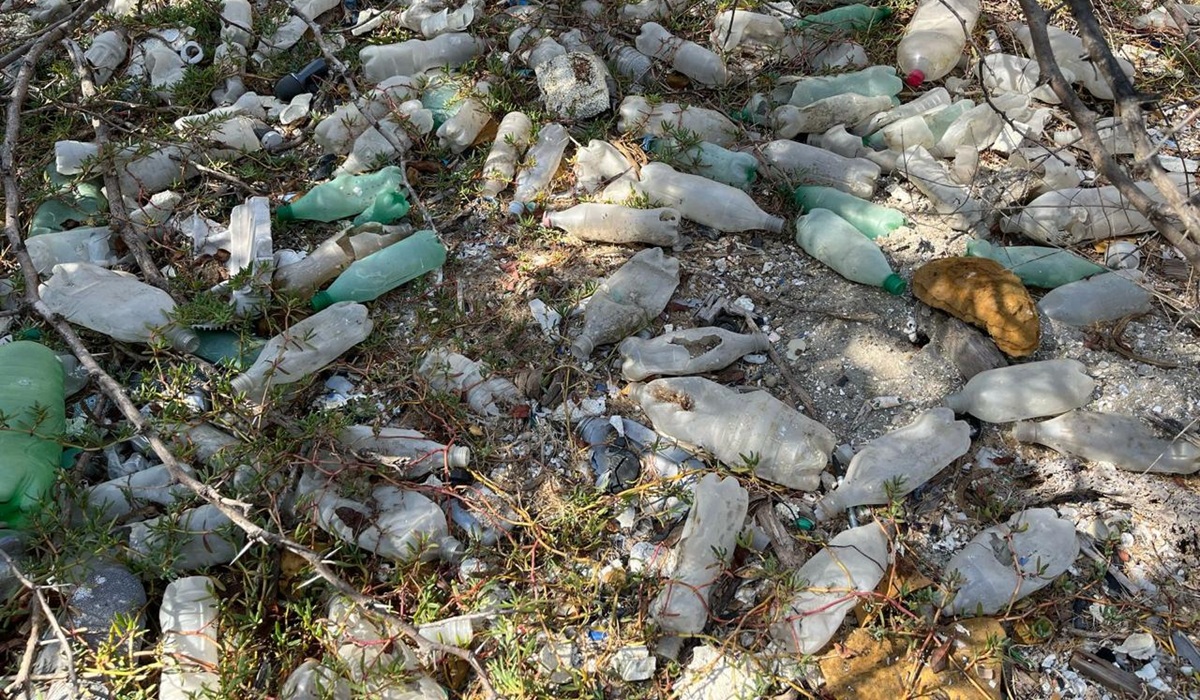 Limpieza en “Isla Basura” se realiza con métodos científicos en Mazatlán: CIAD