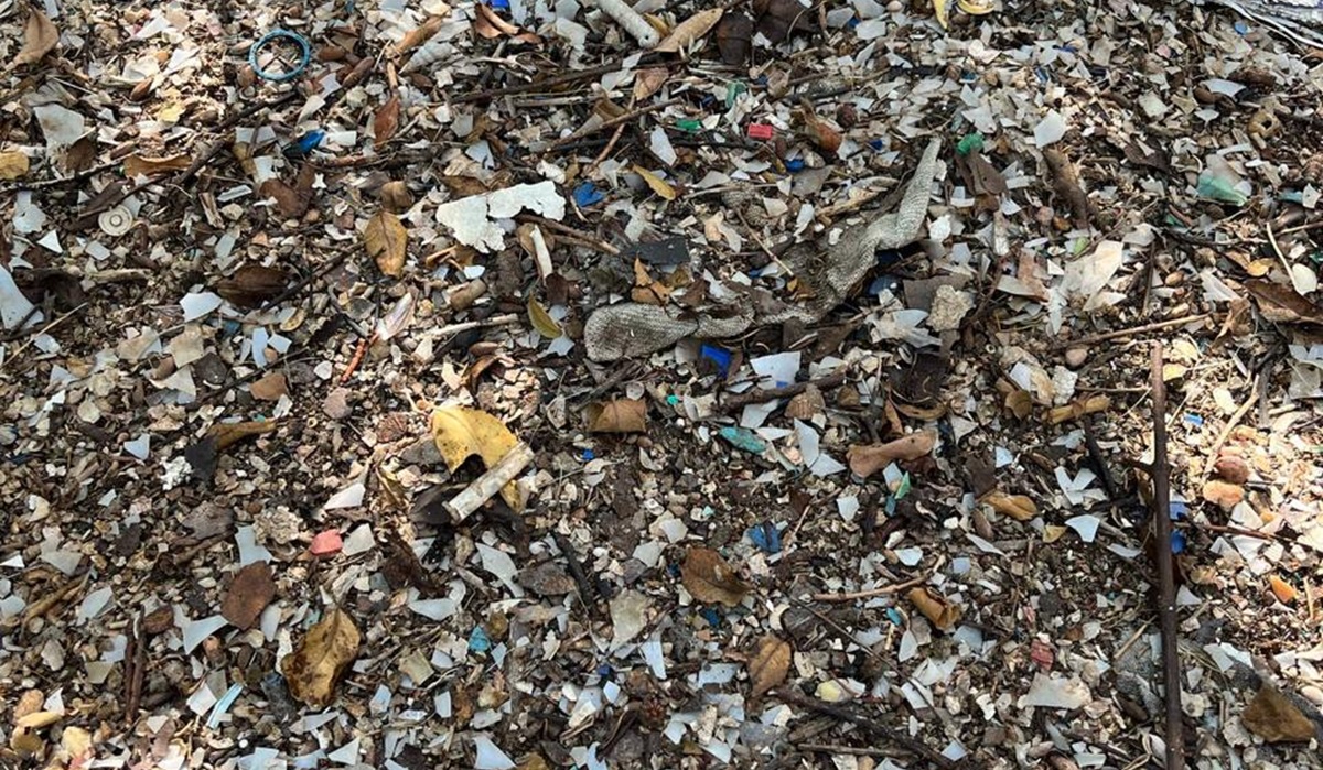 Obras Públicas implora a la sociedad de Ahome evitar arrojar basura en canales en temporada de lluvias
