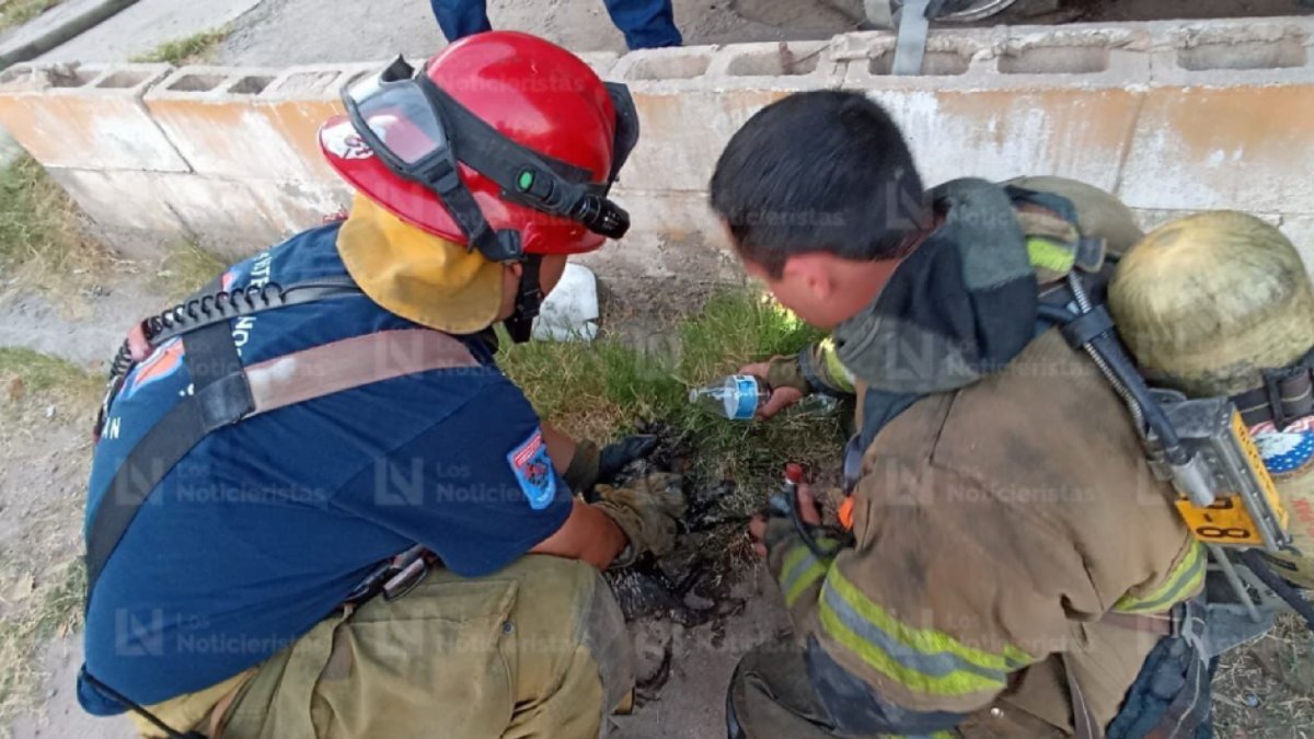 ¡Con oxígeno! Bomberos salvan a perrito en casa donde quemaron una camioneta al sur de Culiacán