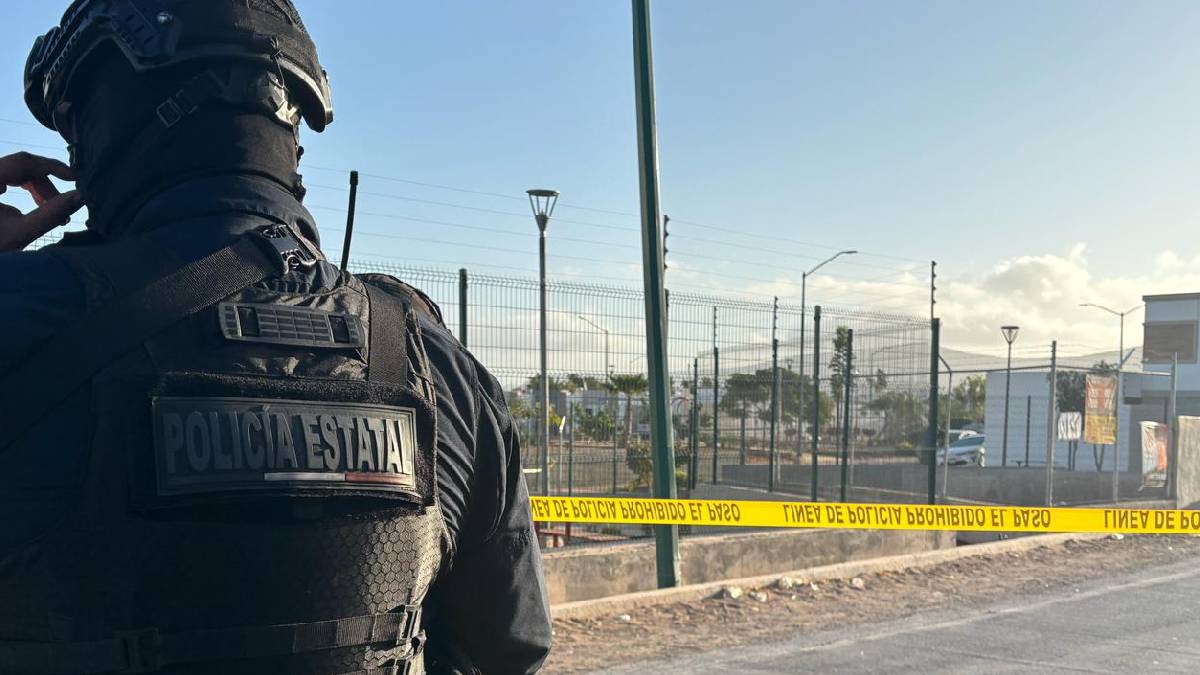 Diputada del PRI exige a Fiscalía de Sinaloa respuestas claras y justicia efectiva para mujeres