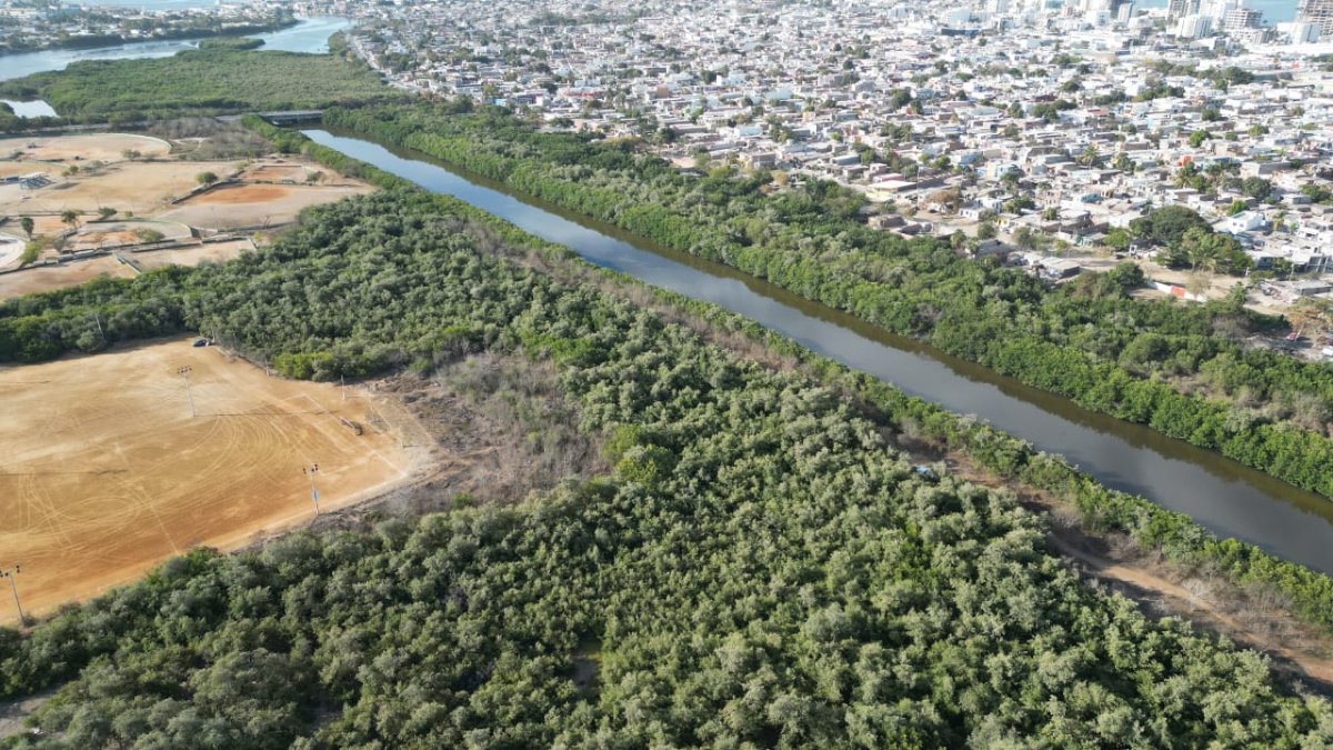 Con la 5ta jornada de ‘Cuidemos los Manglares’, recolectan 638 kilos de desechos sólidos en Mazatlán
