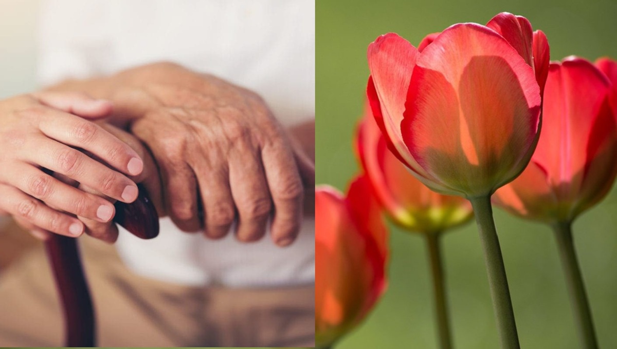 Abril 11: Un tulipán rojo para conmemorar el Día Mundial del Parkinson