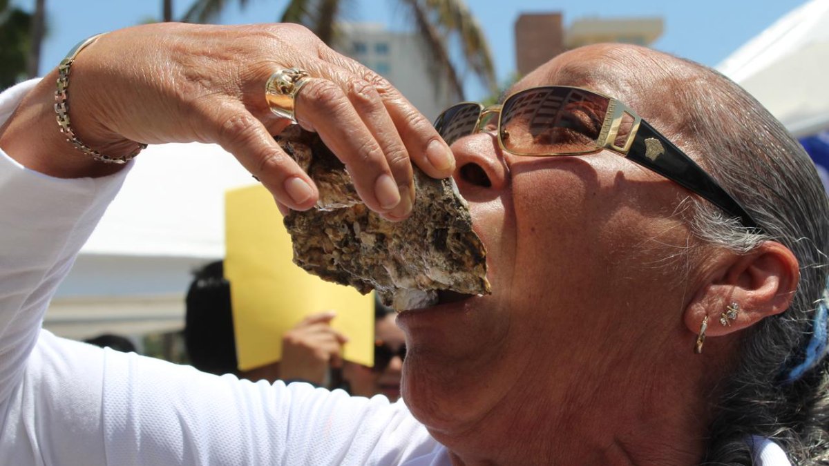 ¿Antojo de ostiones? Levantan cierre sanitario en Teacapán, Escuinapa, Sinaloa y mariscos vuelven a ser seguros de consumir