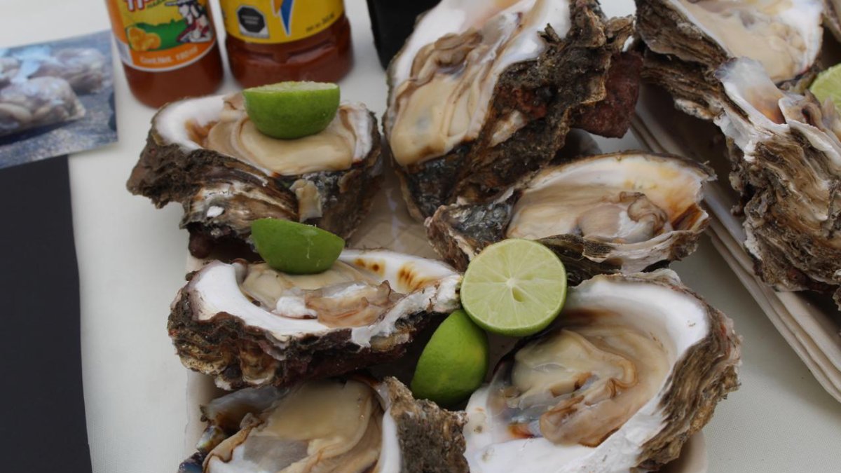 ¡Habrá degustaciones gratis! Invitan a la Feria del Ostión, será el domingo 30 de noviembre en Altata, Navolato
