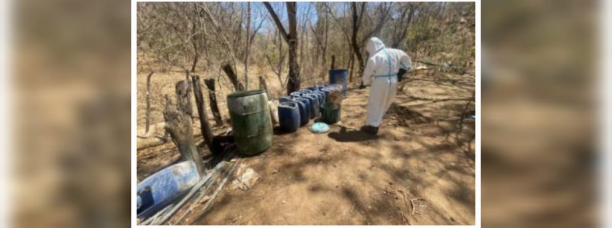Desmantelan 6 narcolaboratorios más en Sinaloa, se ubicaban en Culiacán y Cosalá