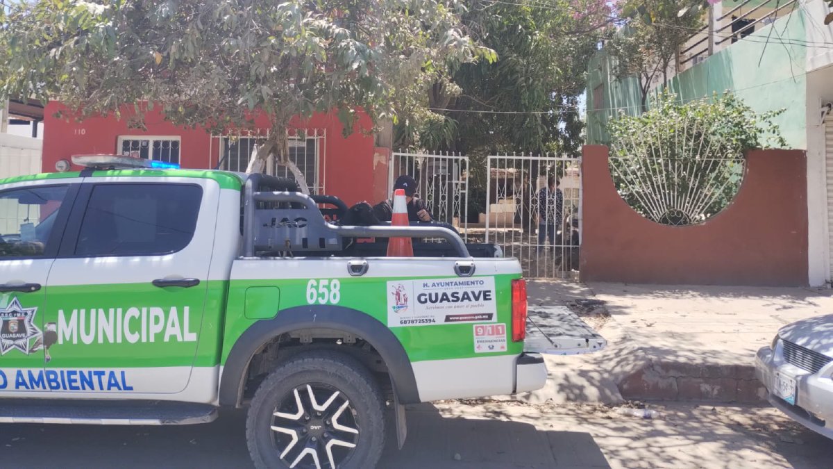 Es una adulta mayor, recogieron a los cachorros pero no habrá denuncia contra dueña de perritos caníbales