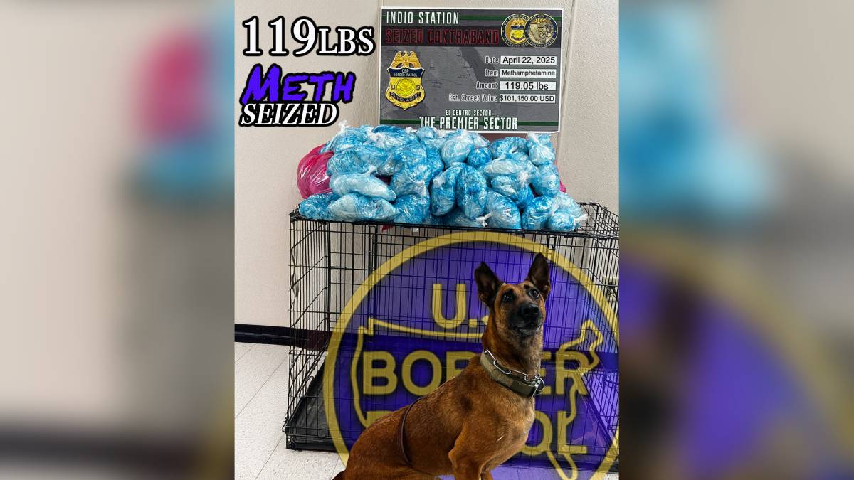 Equipo canino detecta a mexicana con 120 paquetes de metanfetamina en California