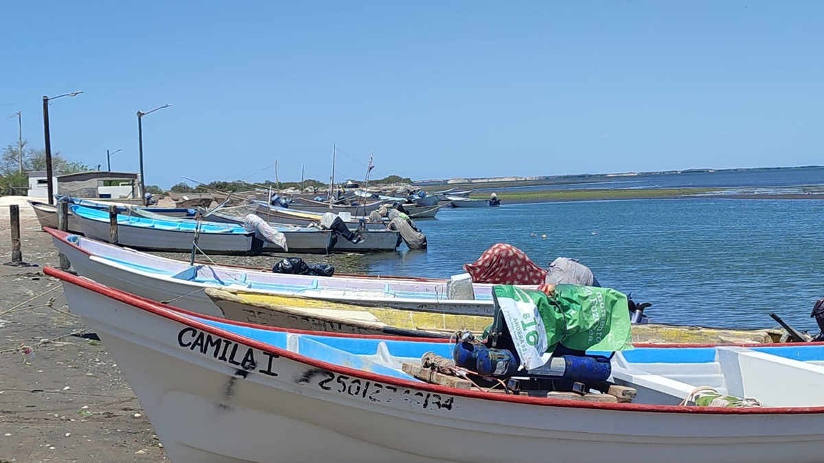 Pescadores sobreviven con las capturas del botete y pargo, esperan pronto tener más alternativas