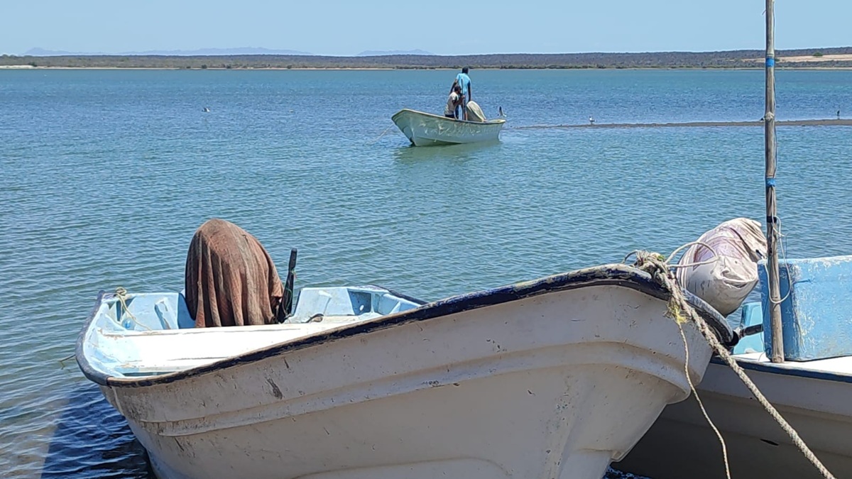Pescadores ribereños cierran temporada de captura de camarón
