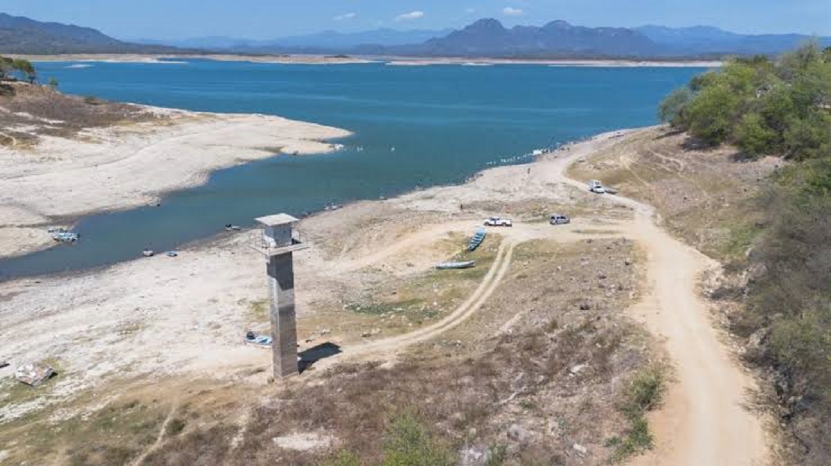 El panorama para la agricultura por la escasez del agua es peor al del año pasado: AARFS