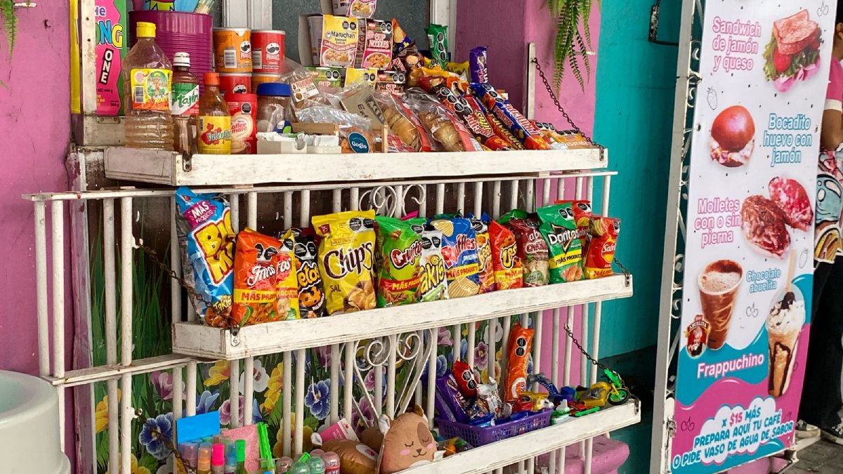 Prohibición de comida chatarra en escuelas podría afectar psicológicamente a niños y adolescentes: Especialista