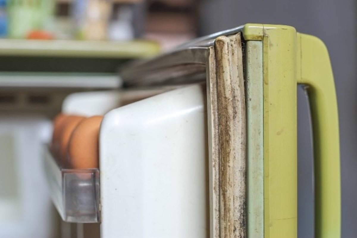¿Hace cuánto que no limpias tu refrigerador? Revisa el paso a paso y por qué es importante hacerlo