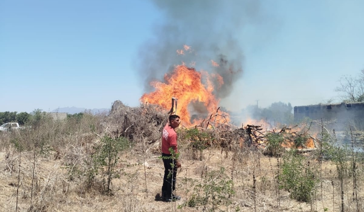 Bomberos voluntarios rescatan a animales atrapados en incendio en Los Sábalos, Escuinapa