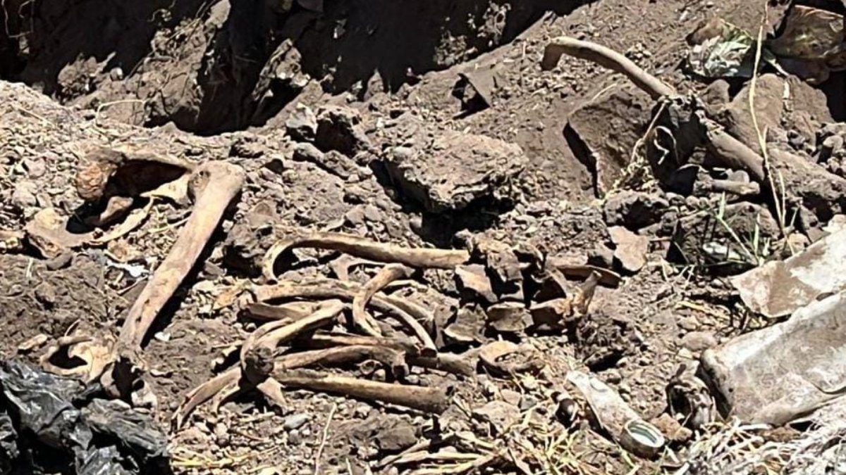 ¡Otra vez en Casa Blanca! Rastreadoras localizan restos humanos sobre el Dren Burrión, en Guasave