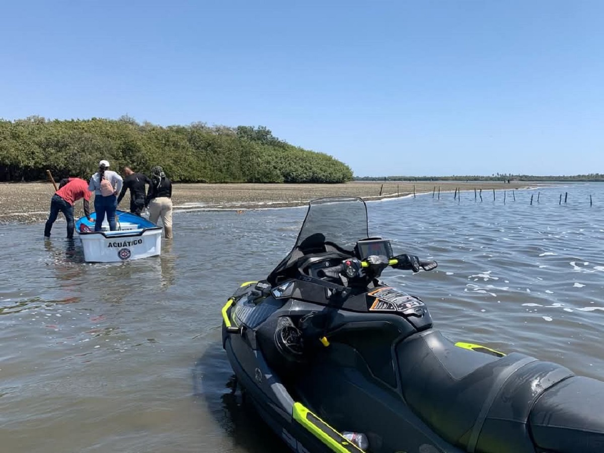 Rastreadoras localizan restos humanos en inmediaciones de la termoeléctrica en Mazatlán